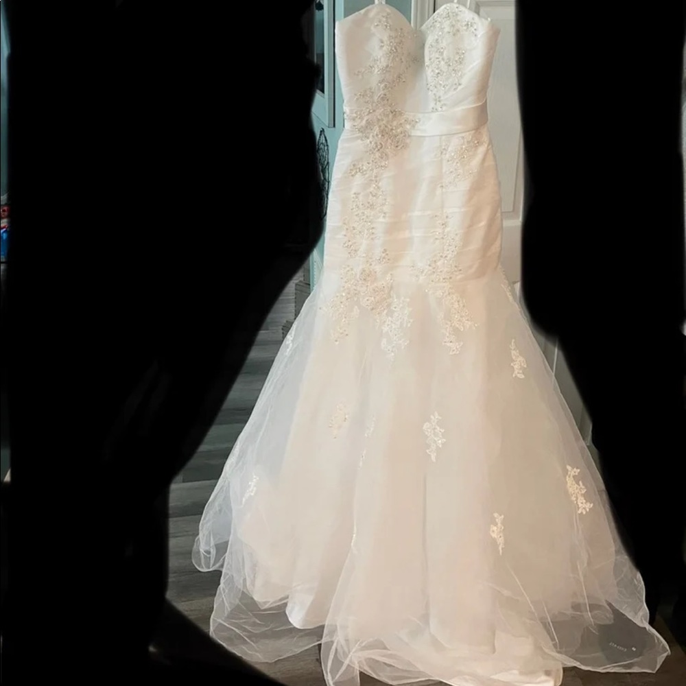 Wedding dress and veil